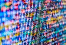 Gartner: meno aziende investiranno nei Big Data