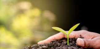 Konica Minolta bizhub ECO: la sostenibilità passa dalla stampante konica minolta_sostenibilità