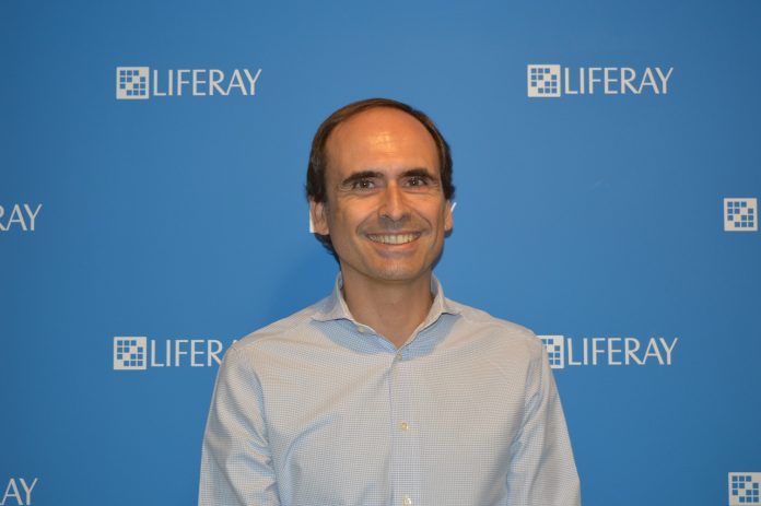 Andrea Diazzi, Liferay