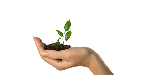 intest_corsi_crescita_personale intest_corsi_crescita_personale