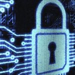 pirateria informatica