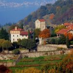 Castello Rossino