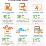 Infografica Survey Acquisti di Natale Mobile Compuware APM