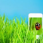 green_app