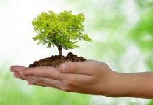 Sostenibilità: al centro delle abitudini di acquisto con la pandemia sostenibilità