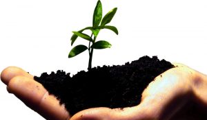 startup-grow startup-grow