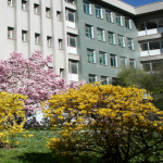 Istituto Torricelli