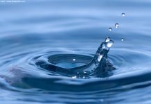 Qlik acqua