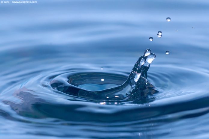 Qlik acqua Qlik acqua