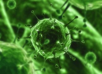 Aumenta l'attività delle minacce APT nel primo trimestre 2019