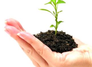 Startup: la scalata verso il successo PayPal Startup Blueprint