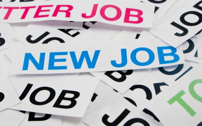 Palestra delle professioni digitali