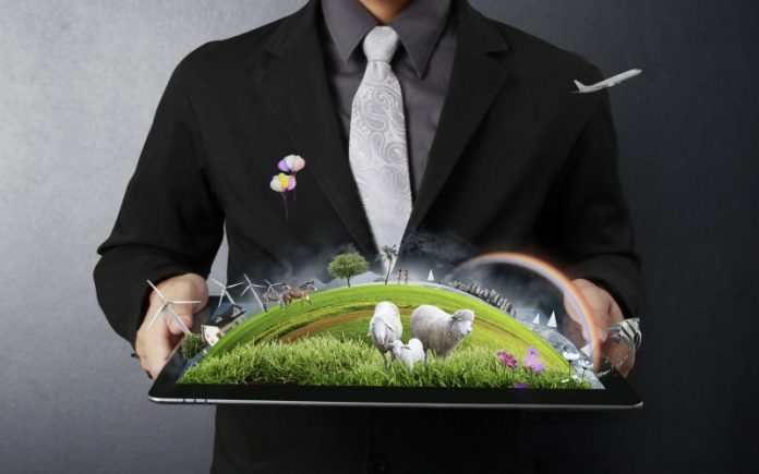 Uffici sostenibili Ecommerce: 5 punti per il digital retail sostenibile