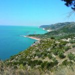 WP_005601-4