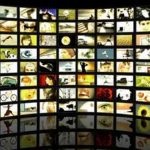 Video advertising
