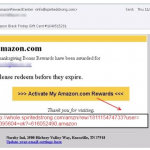 Amazon truffa 1