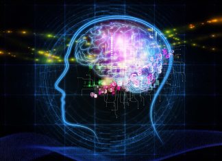 SPID: dal 15 marzo le prime identità digitali