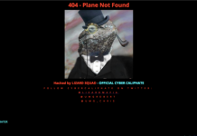 lizard-squad-malaysia-airlines
