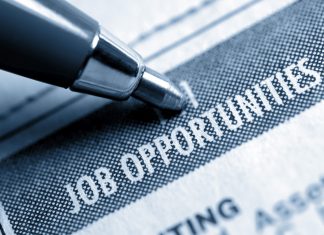 Le professioni che grazie al Web sono cresciute