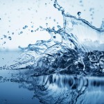 acqua