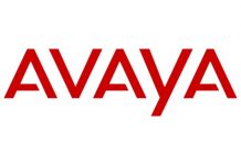 Avaya IX Subscription: formula consumption based per EMEA e APAC