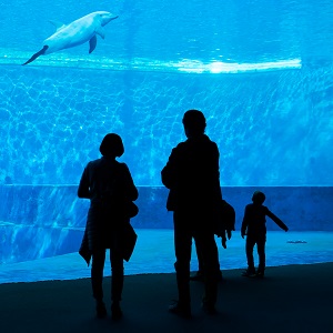 Acquario-3102