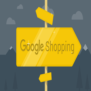 guida-google-shopping