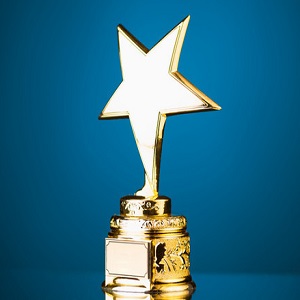 Partner innovation awards