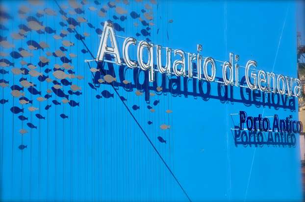 acquario-genova acquario-genova