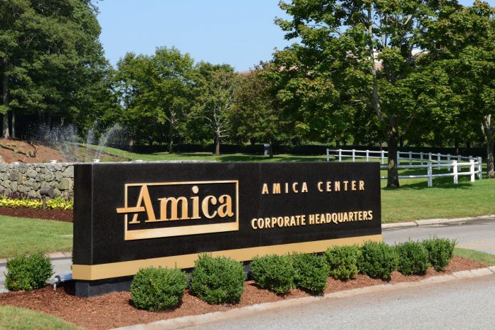amica home insurance The 9 best home insurance companies in the usa – healthy flat