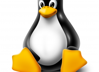 Workstation e server Linux: attenzione ai gruppi APT