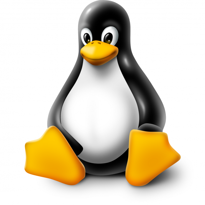 Workstation e server Linux: attenzione ai gruppi APT