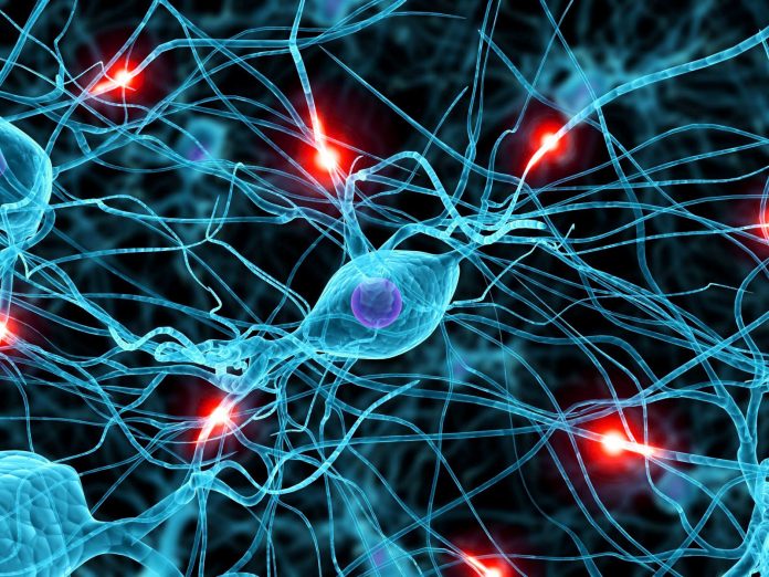 reti neurali Intelligenza artificiale: il settore bancario deve accelerare