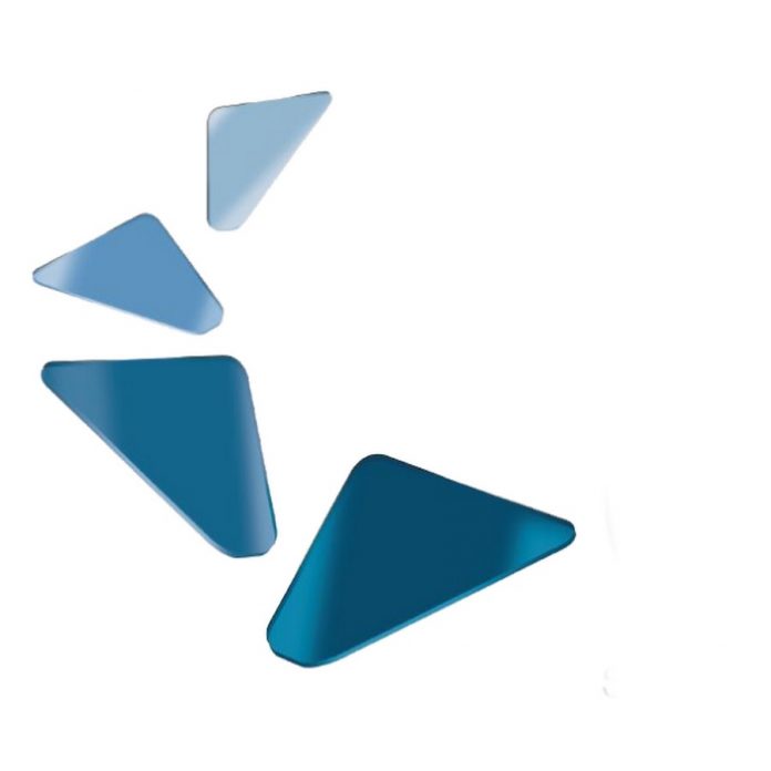 CWS Digital Solutions