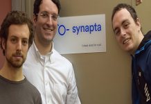 Synapta-foto-team