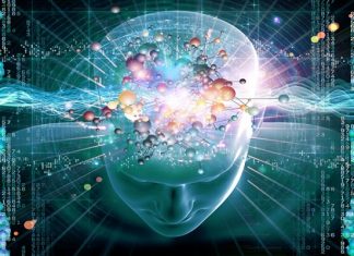 intelligence emotiva