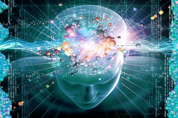 intelligence emotiva intelligence emotiva