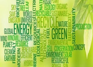 Transizione digitale ed energetica: una duplice sfida per l'Italia