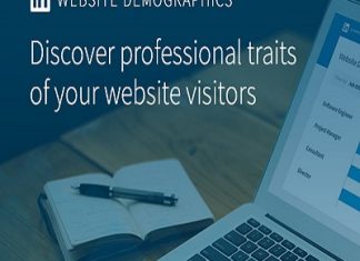 LinkedIn Website Demographics