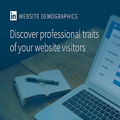 LinkedIn Website Demographics LinkedIn Website Demographics