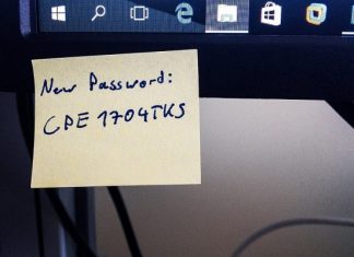 NETCOM regala GreenLight alle Onlus per il World Password Day