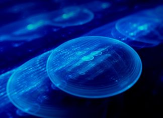 Ecco la fotografia dell’Open Innovation in Italia Open-Innovation