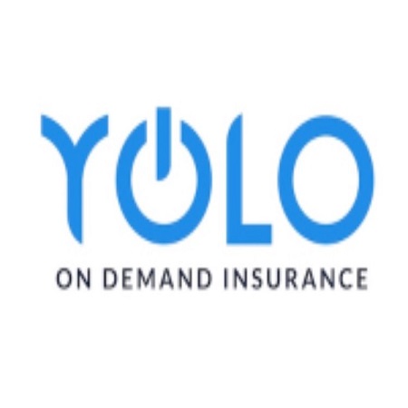 yolo yolo