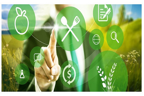 Agri-Food_Inputs Settore food: nell'era Neandertal della comunicazione digitale