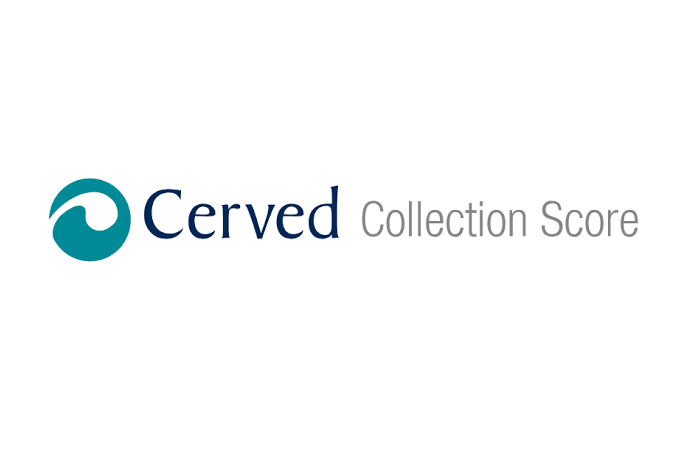 Cerved Collection Score