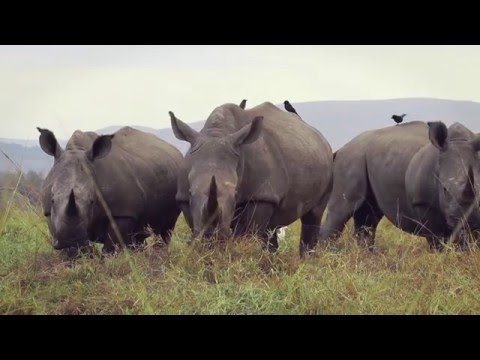 connected conservation