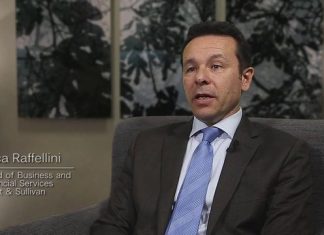 Gli effetti della situazione politica italiana sui mercati internazionali Luca Raffellini