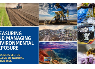 Esposizione ambientale: il rischio del capitale naturale rischio del capitale naturale