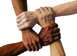 Diversity Brand Index