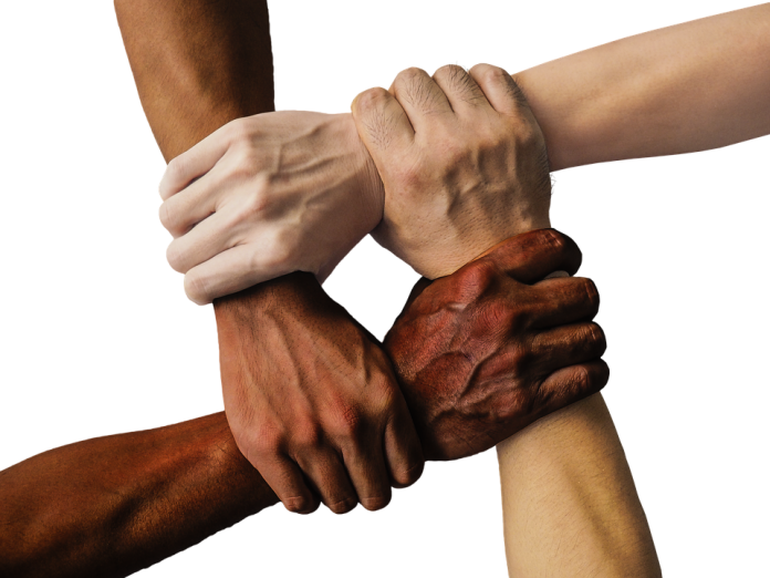 diversity Diversity Brand Index